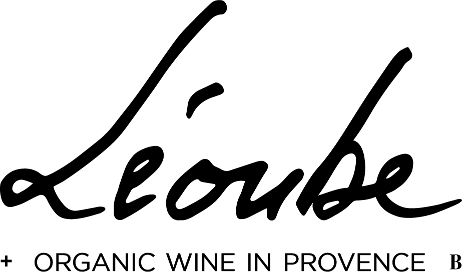 Footer Logo